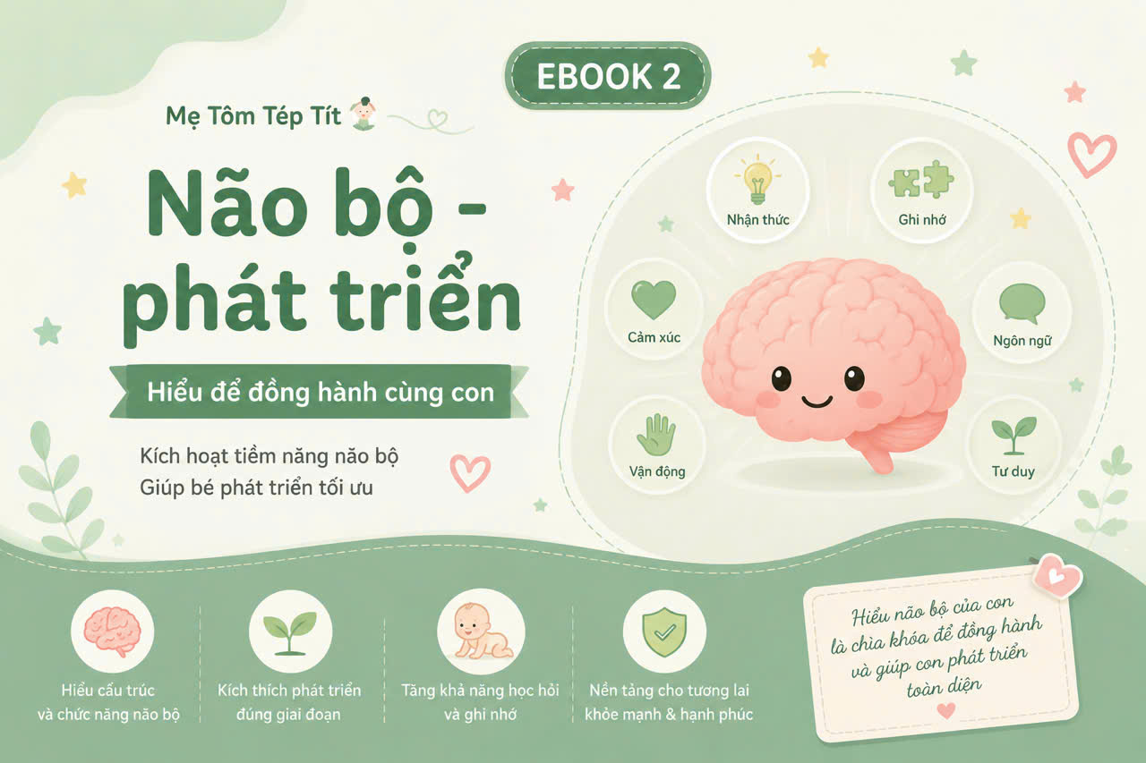 Ebook 2 - Não bộ và phát triển