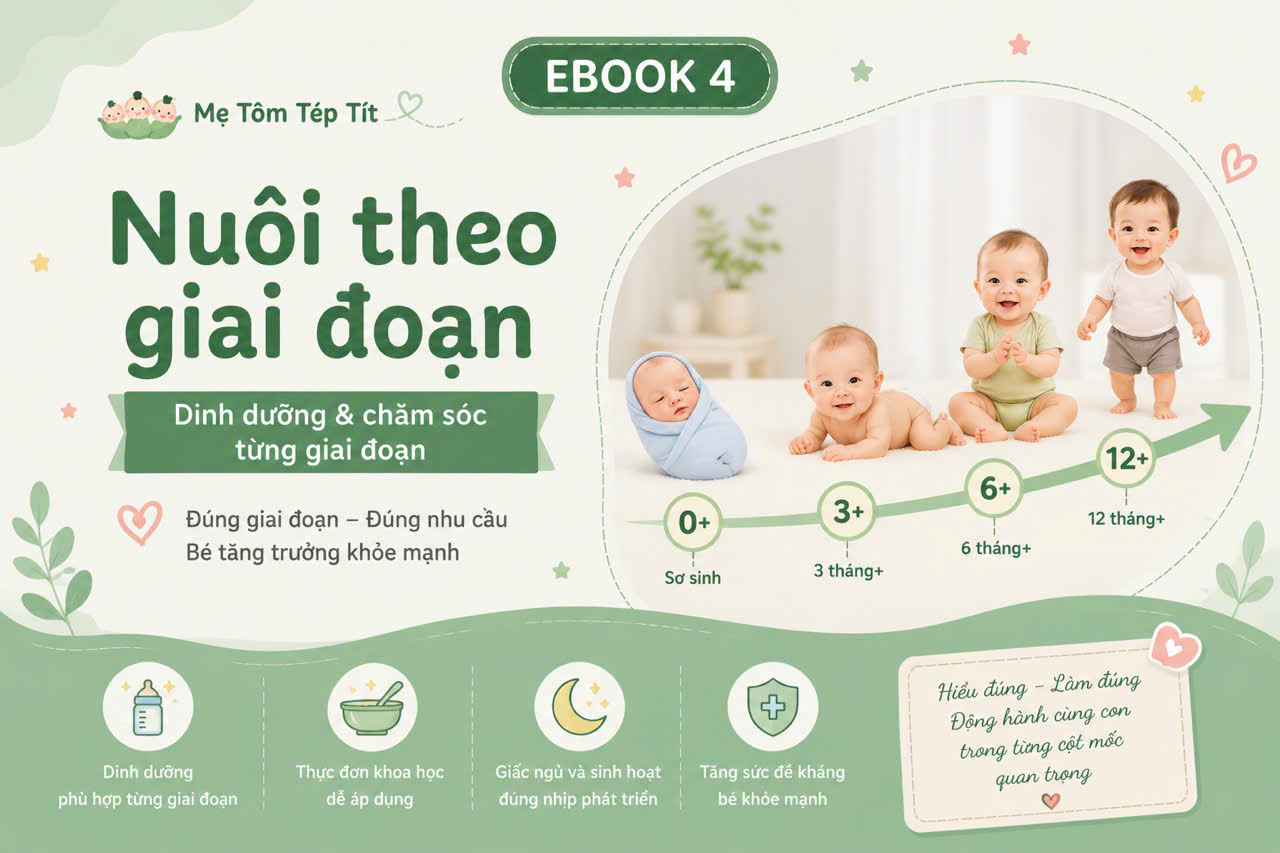 Ebook 4 - Não bộ và phát triển
